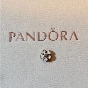 🎁🎁🎁PANDORA PINK FLOWER PETITE CHARM